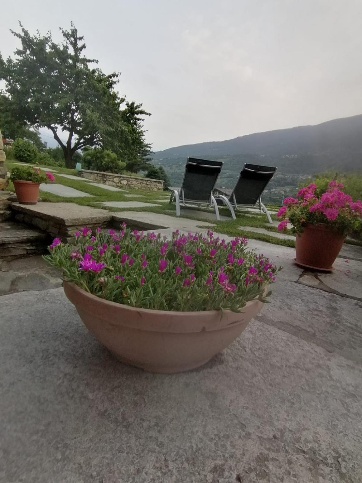 Roisan Mini House Valle D'Aosta מראה חיצוני תמונה
